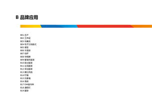 旗艦共聯(lián) VI品牌標(biāo)志賦能企業(yè)產(chǎn)品商標(biāo)與互聯(lián)網(wǎng)數(shù)據(jù)服務(wù)